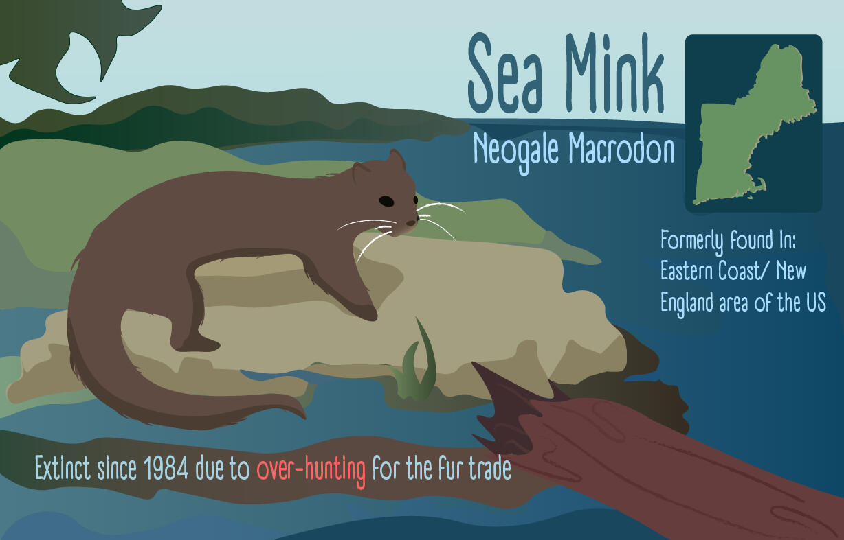 Awareness flyer for an extinct mammal. Awareness flyer for an extinct mammal.
